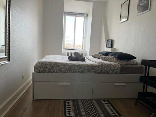 Cosy Rent Strasbourg Orangerie Tv Wifi Cathedrale Apartment Exterior photo