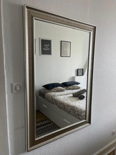 Cosy Rent Strasbourg Orangerie Tv Wifi Cathedrale Apartment Exterior photo
